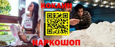 гашик Кингисепп