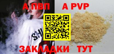 гашик Кингисепп
