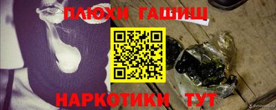 гашик Кингисепп