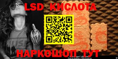 гашик Кингисепп