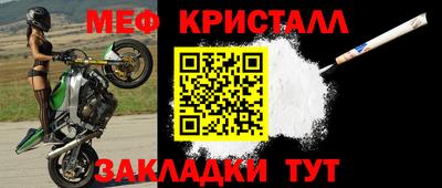 гашик Кингисепп