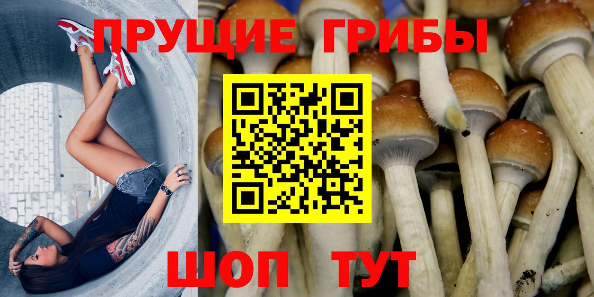 Коломна  Псилоцибиновые грибы Magic Shrooms  Вход с VPN 